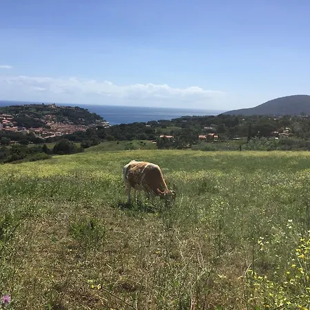 La Mandolaia Porto Azzurro
