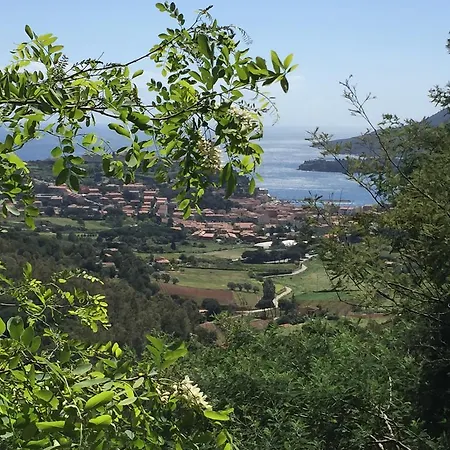 La Mandolaia *